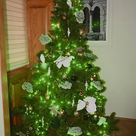 Lejlighed Railway Rijeka